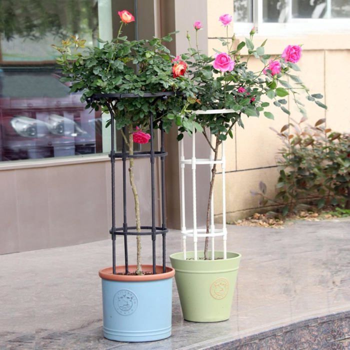 Lot de 6 supports de plantes de jardin de 25 x 60 cm avec 20 attaches pour plantes, anneaux demi-ronds en métal pour pivoines, hortensias, tomates, roses Lot de 6 supports de plantes de jardin de 25 x 60 cm avec 20 attaches pour plantes, anneaux demi-ronds en métal pour pivoines, hortensias, tomates, roses