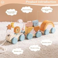 Jouet éducatif Montessori en bois, avec puzzle dinosaure et sac de