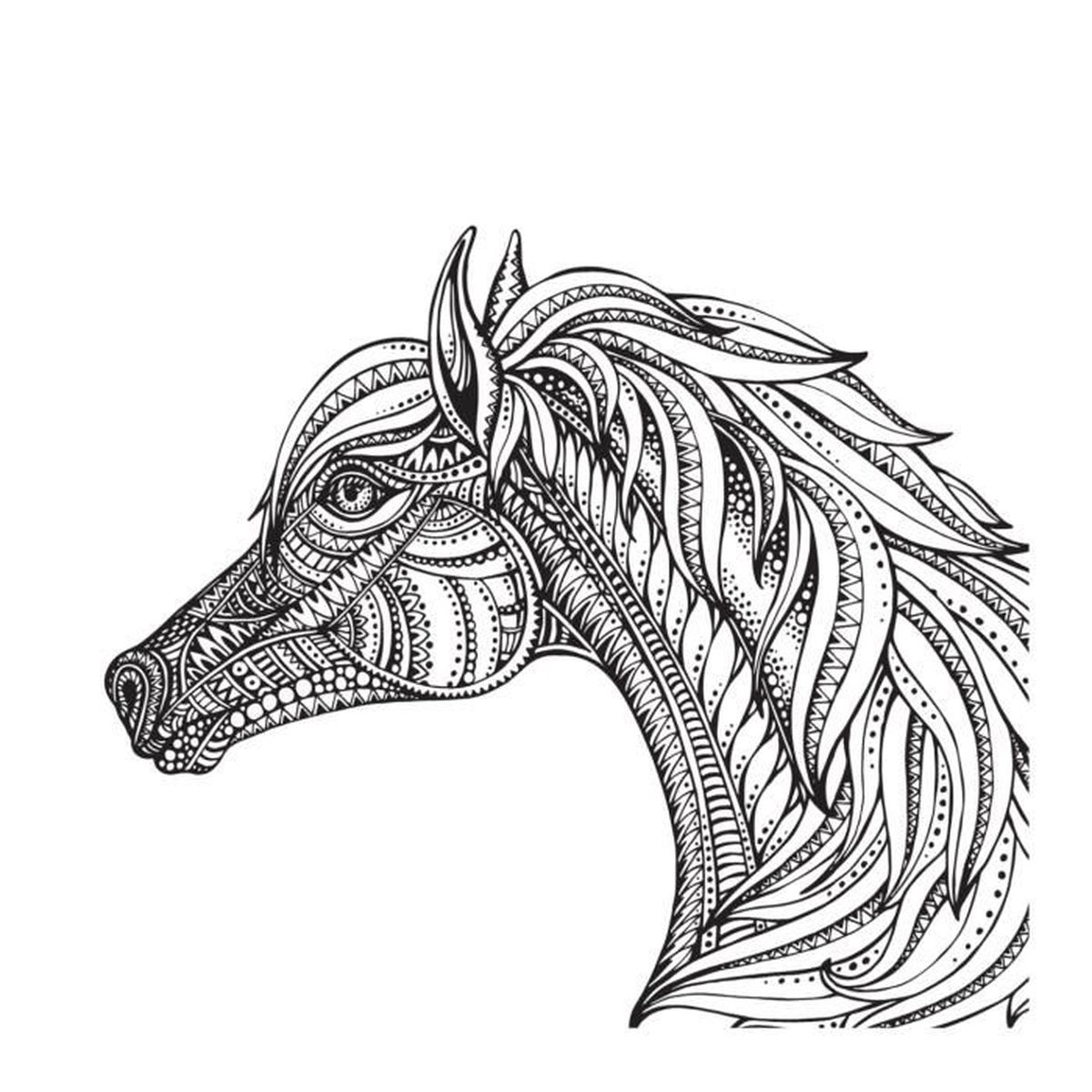 mandala animaux livre de coloriages pour adultes 50 dessins antistress