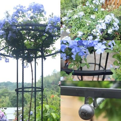 Support Pour Plantes, Anneau De Support Pour Plantes De Jardin, Tour De Treillis, Support De Cage De Rose Pour Jardin - Jardin