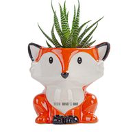 Pot de fleurs en céramique - TD® - dessin animé style européen simple - orange - pour enfant