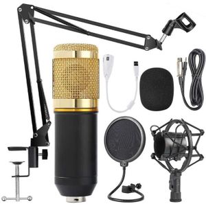 MICROPHONE Microphone BM 800 Micro Support de Studio Condense