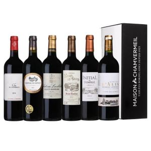 ASSORTIMENT VIN Châteaux Prestige - Carton panaché 6 vins de châte