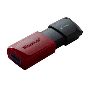 Clé USB-C 3.2 Gen 2 DataTraveler Max - 1 To - Kingston
