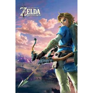 Zelda Tears of the Kingdom Epic Poster
