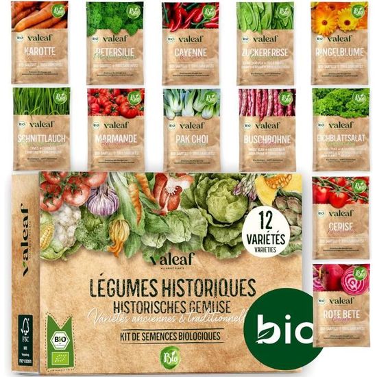 valeaf kit de grain fleurs I assortiment de semences prêt à pousser I 10 variétés de fleurs valeaf kit de grain fleurs I assortiment de semences prêt à pousser I 10 variétés de fleurs