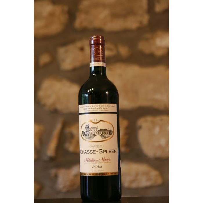 Vin rouge, Château Chasse Spleen 2014 Rouge