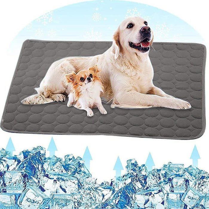 Meilleurs prix pour Tapis Rafraichissant Chien Portable Tapis Rafraichissant Animaux de Compagnie Lavable Tapis de chat pour chien(50x60cm)-Gris