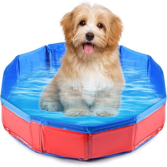 Piscine Pliable pour ChienBaignoire en PVC AntidérapantPiscine pour Chiens et ChatsPortable et Respectueuse de pour