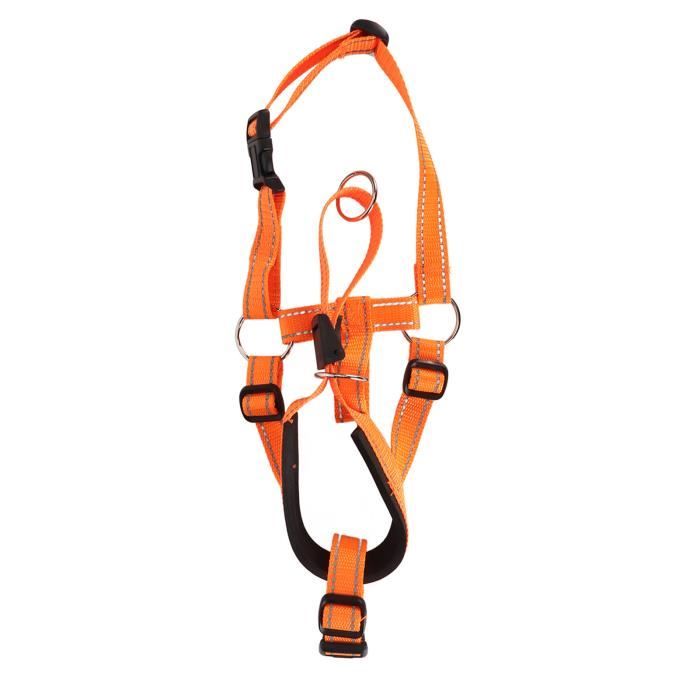 Licol Éducatif Nylon Gros Chien Réglable