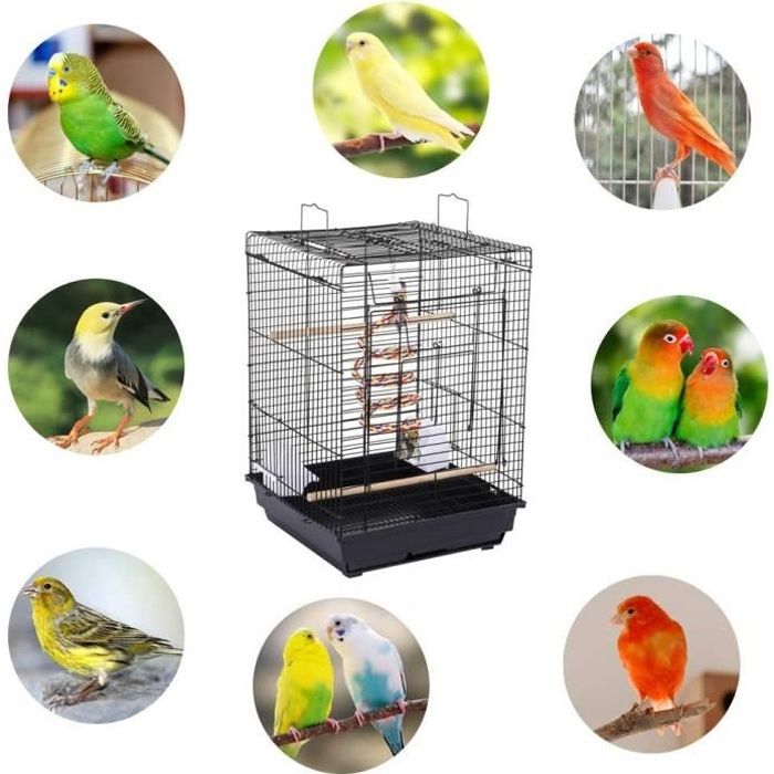 Cage à oiseaux 40 x 40 x 58 cm avec 2 mangeoires 3 perchoirs Volière avec Toit Ouvrable