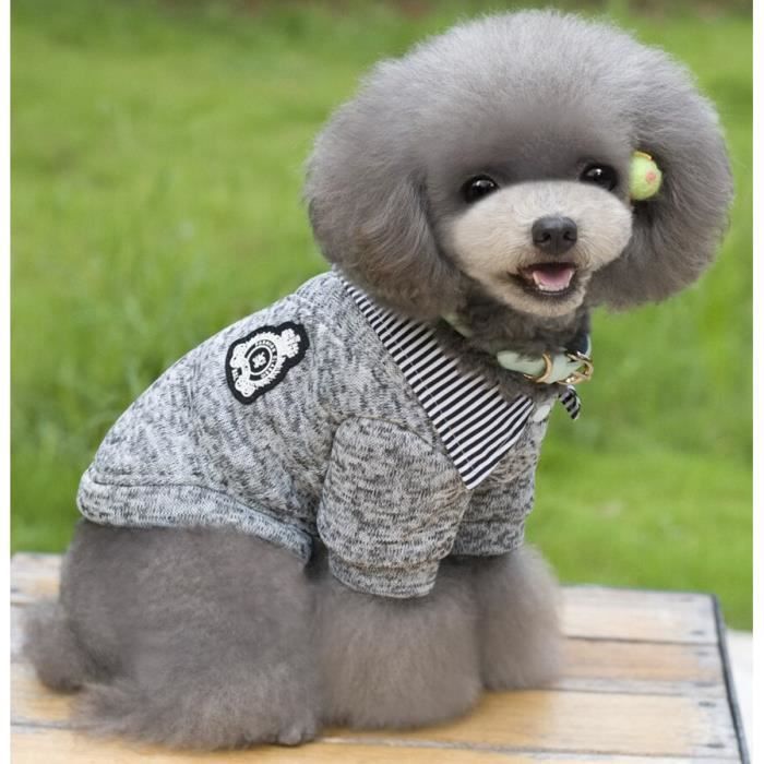 Vetement pour petit chien deals