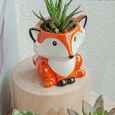 Pot de fleurs en céramique - TD® - dessin animé style européen simple - orange - pour enfant-2