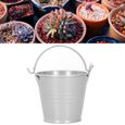 Dilwe Pots succulents 10pcs Pot de Fleur Mini Pot de Plantes Succulentes Petit Seau en Métal pour Décor Extérieur-3