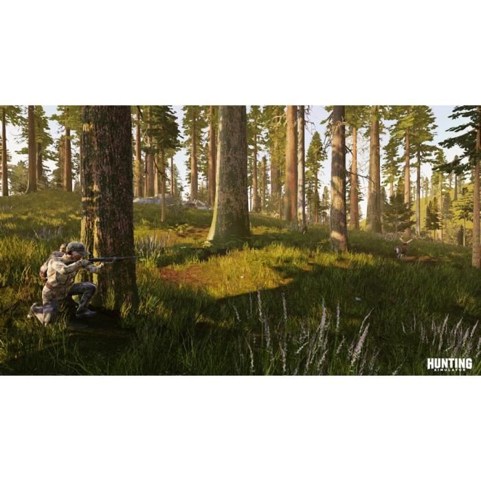 Jeu de chasse sur PC Bigben Hunting Simulator 35 espèces d