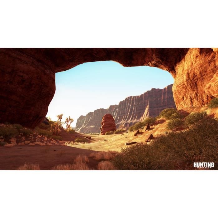 Jeu de chasse sur PC Bigben Hunting Simulator 35 espèces d
