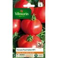 VILMORIN Tomate Fournaise HF1 Sachet de graines - Création Vilmorin-0