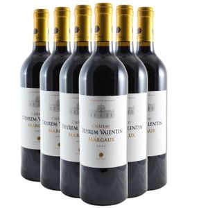 Château Croix Mazeran Rouge 2020 - Lot de 6x75cl - Vin Rouge de