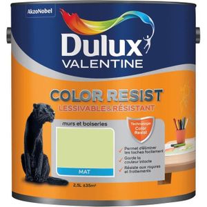Dulux Valentine Achat Vente Pas Cher