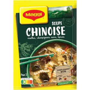 SOUPE EN SACHET LOT DE 2 - MAGGI - Soupe Escapade Chinoise - Soupes déshydratées - paquet de 60 g