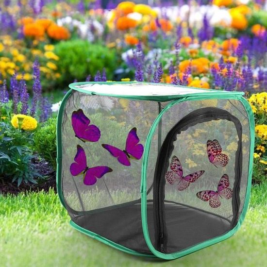 Grande cage d'élevage ventilée durable portative pliable de papillon