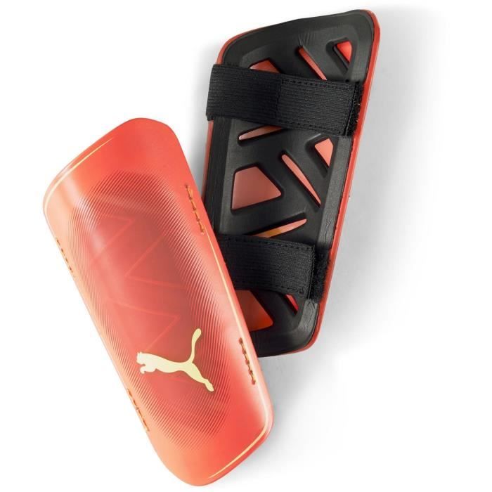 Puma corail 2025