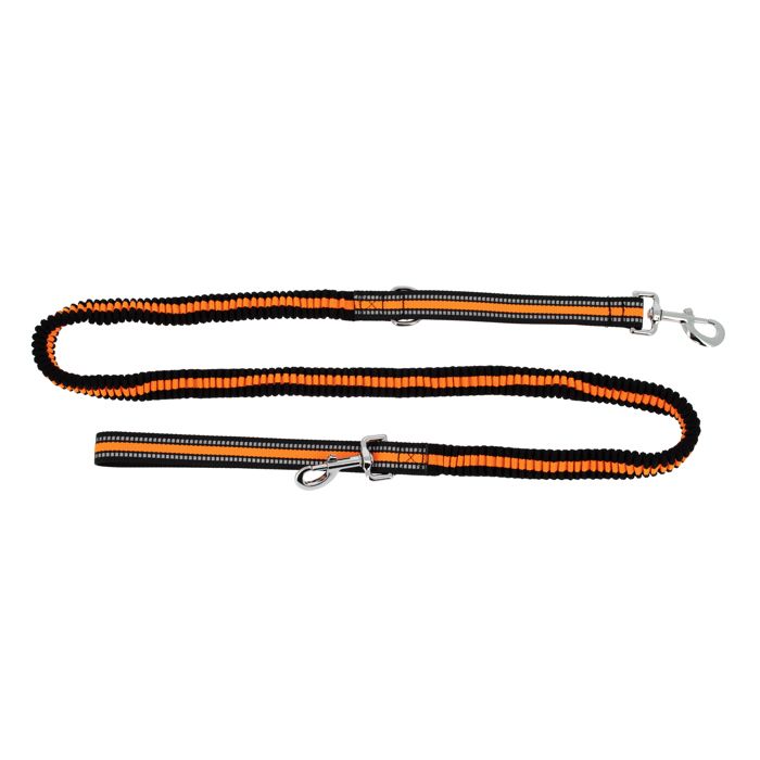 laisse extensible - laisse canicross