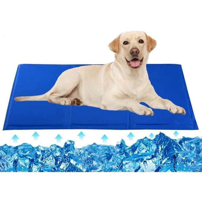 Meilleurs prix pour Tapis Rafraîchissant pour Chien (50X60cm) Durable Lit de Refroidissement Automatique Gel Non-toxique Coussin de Soulagement