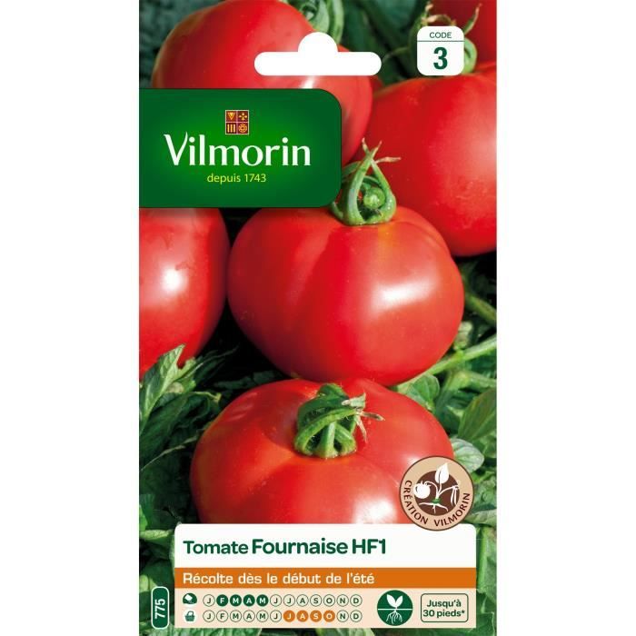 VILMORIN Tomate Fournaise HF1 Sachet de graines - Création Vilmorin