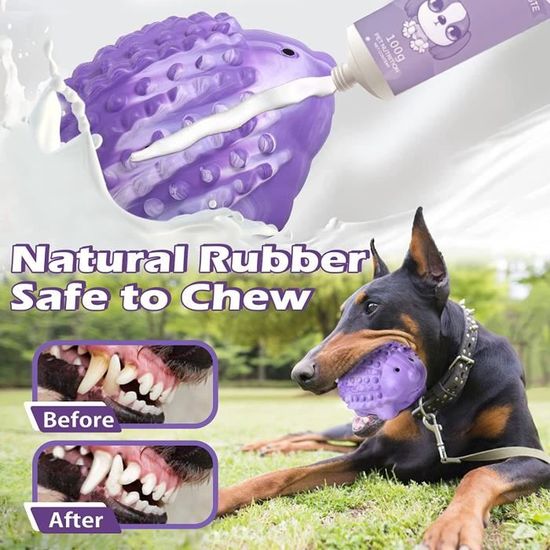 Giocattolo Da Masticare Per Cani - Gomma Naturale Con Squeak E Sapore