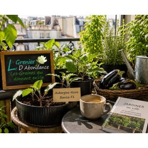 Lot De 2800 Graines Aromatiques - 10 Sachets Variés Pour Potager Débutant | Semis Facile En Pot Ou Pleine Terre - Le Grenier D'Abondance