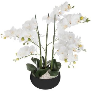 JARDINIÈRE - BAC A FLEUR Atmosphera - Orchidée pot céramique noir H65 D, 25 x H, 65 cmPot : D, 25 x H, 10 cm Orchidée Blanc