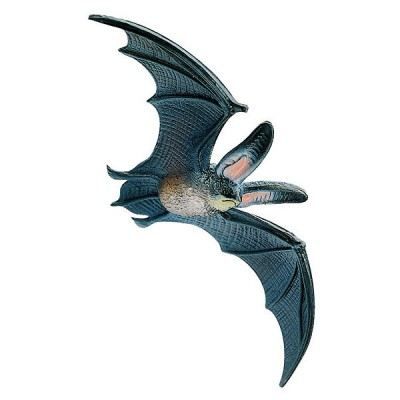 Chauve-souris bébé