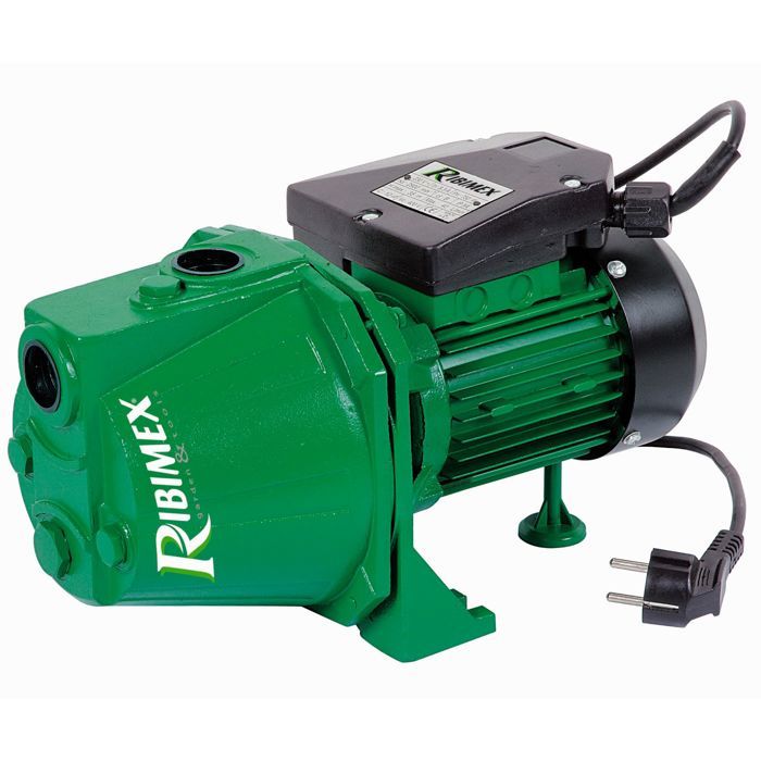 Pompe de surface 600 W Jet121