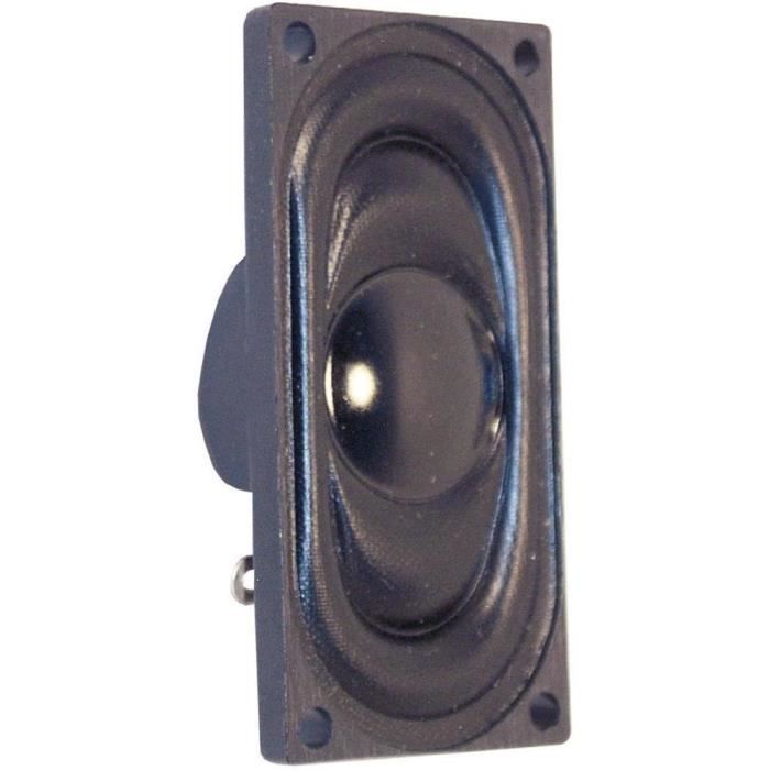 Haut-parleur miniature rectangulaire