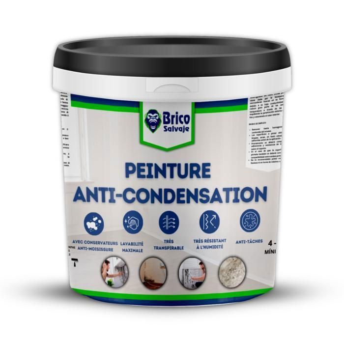 Peinture anti-condensation et anti-moisissure - BRICOSALVAJE - Blanc ...