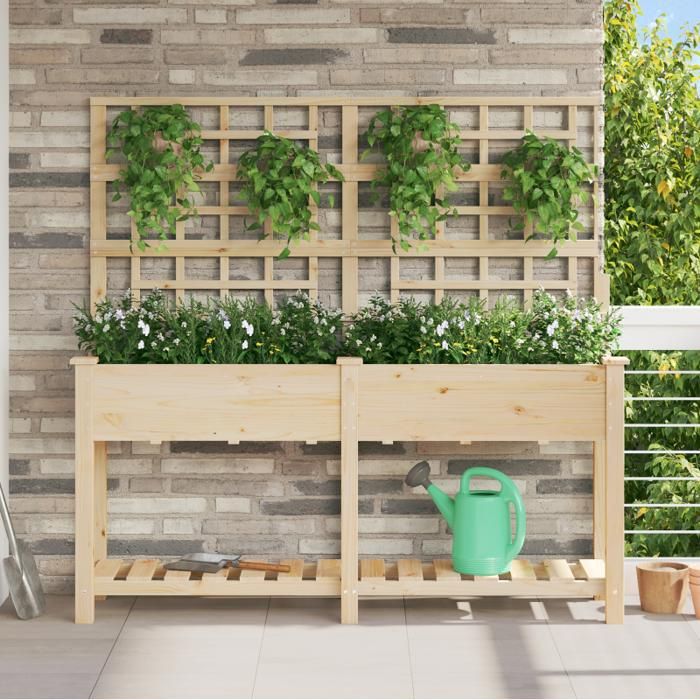 Jardinière avec treillis et étagère 161x43x152 cm en bois massif de sapin