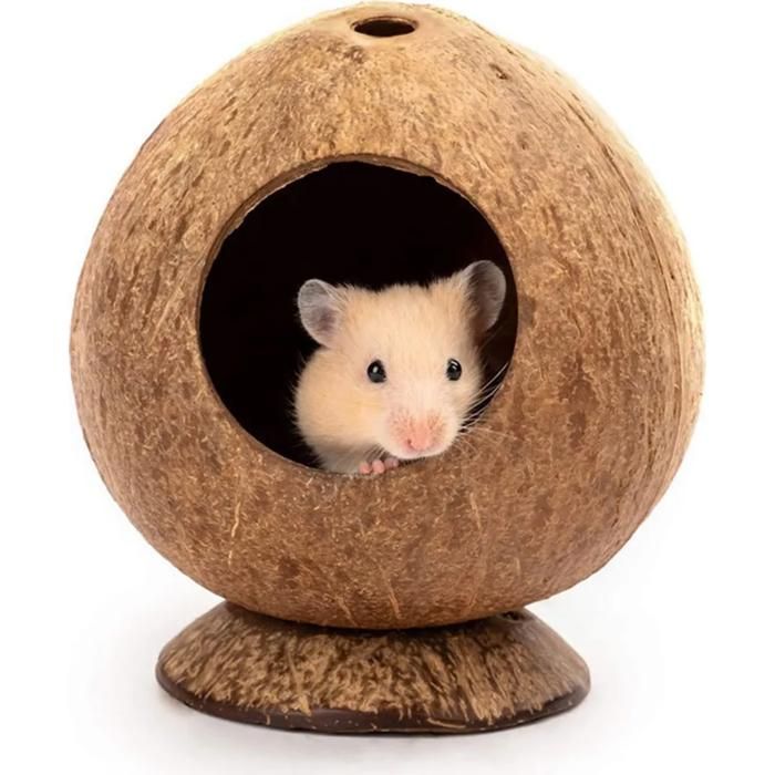 Comparer les prix de Cabane en noix de coco maison pour hamster cachette pour hamster lit pour gerbilles maison pour petits animaux pour sour ODIPIE