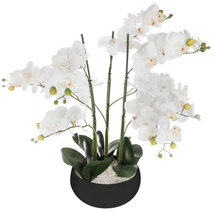 Atmosphera - Orchidée pot céramique noir H65 D, 25 x H, 65 cmPot : D, 25 x H, 10 cm Orchidée Blanc