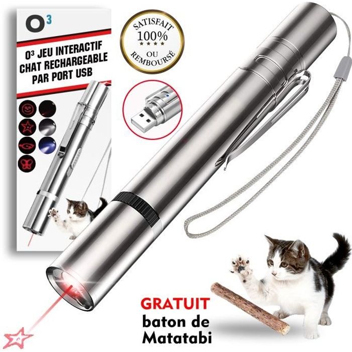 Pointeur Laser pour Chat-2 Laser-Jouet Interactif lumineux pour