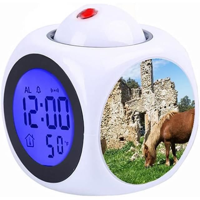 Réveil Projecteur Enfant Dauphin – Projection Heure, Température, Date – Horloge De Chevet Lumineuse Bleue