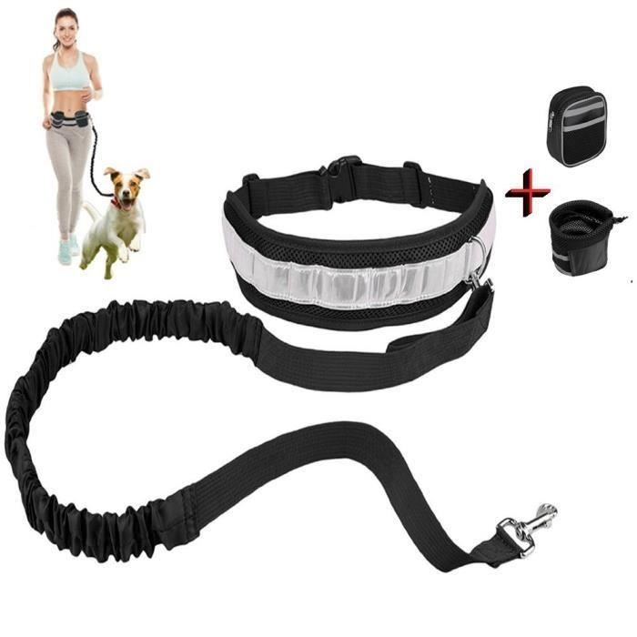 Kit Ceinture Laisse Chien Main Libre Réfléchissant Pour Course À Pied  Running Jogging  Cani Rando  Vélo + Deux Pochettes H0250