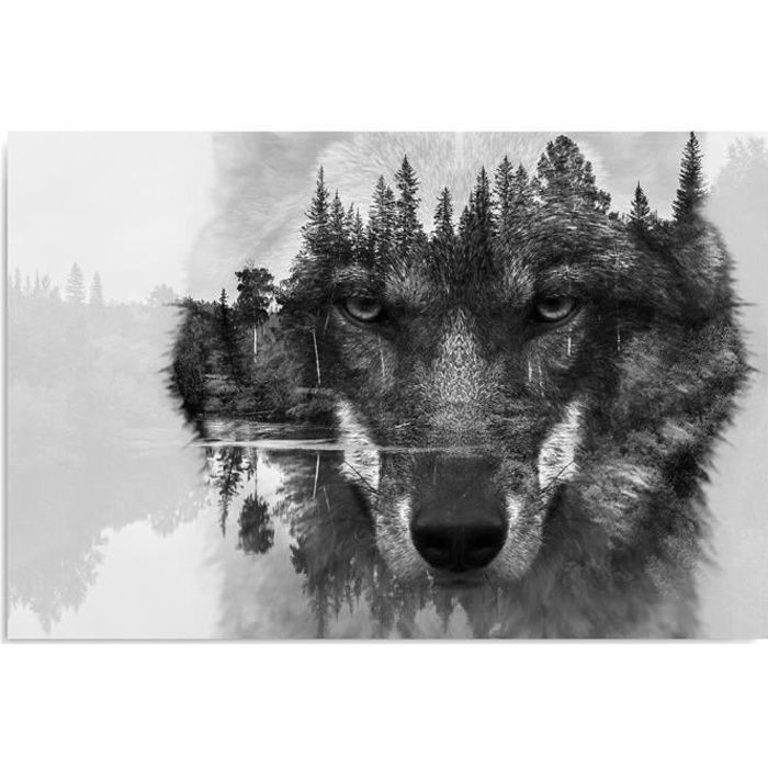 Tableau Deco Mural Imprime 40x50 Nature Animal Loup Noir Et Blanc Achat Vente Tableau Toile Cdiscount Modifier le groupe historique des modifications. tableau deco mural imprime 40x50 nature animal loup noir et blanc
