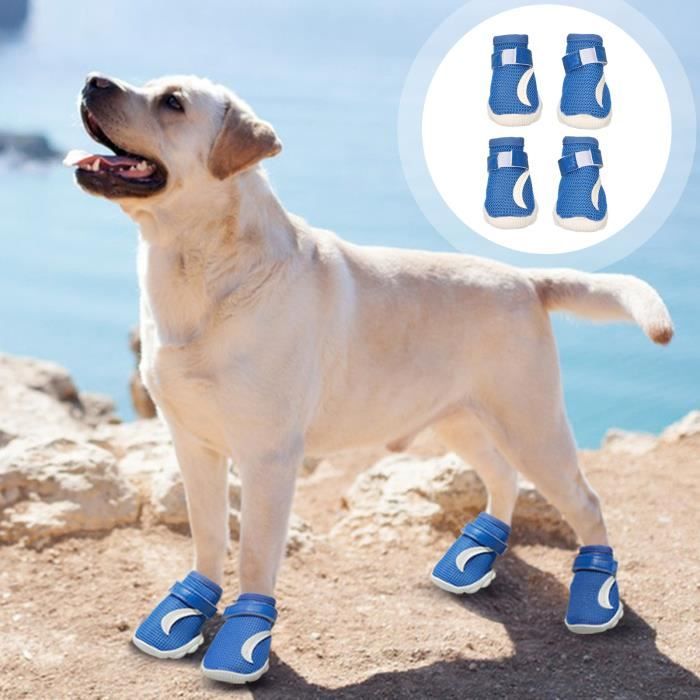 Bottes pour chien antiderapantes fermeture a crochets et a boucles chaussures de promenade pour chiots type 4 YS002 Cdiscount