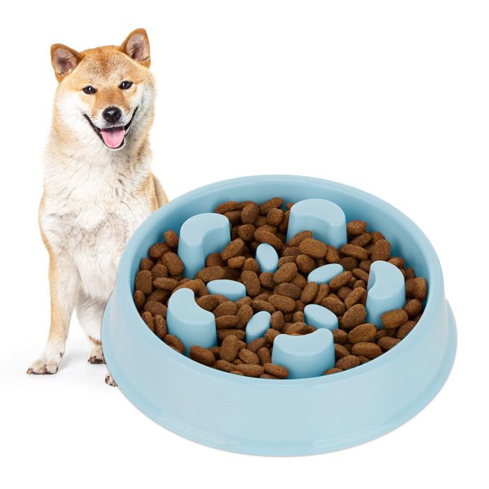 Meilleurs prix pour Relaxdays Gamelle anti-glouton, repas pour chiens, 600 ml, digestion lente, compatible avec lave-vaisselle, bleu