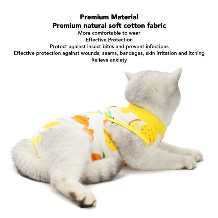 Meilleurs prix pour LON Costume Set - robe de stérilisation anti - léchage pour chat - Lemon - XL JR033