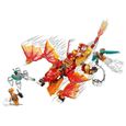 SHOT CASE - LEGO 71762 NINJAGO L'Évolution Dragon De Feu De Kai, Set avec Figurines Guerriers Serpents avec banniere a-1