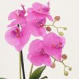 Orchidées artificielles fuchsia 35cm-2