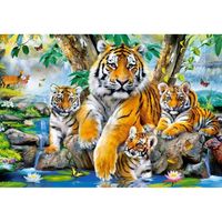 Puzzle 1000 pièces - CASTORLAND - Les tigres dans la rivière - Animaux - Mixte - Intérieur