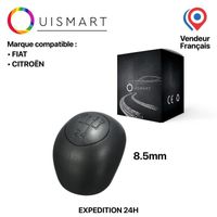 Levier De Vitesse Avec Pommeau Pour Citroën Peugeot - Compatible RCZ, 3008, 407, 5008, 807, 6 Vitesses